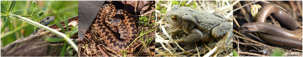 Where in the Wyre header